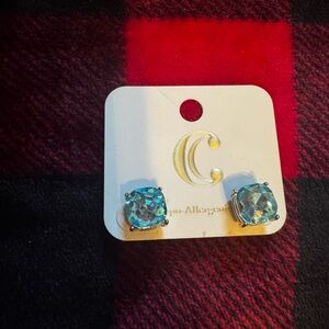 Elegant Blue Stud Earrings
